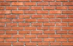 Poochi plus product view 2